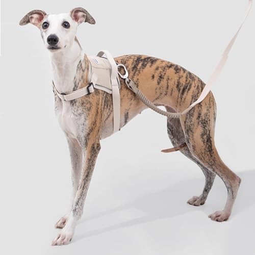 Verstellbares Hundegeschirr, No-Pull-Frontclip, Hundegeschirr Mit 2 Leinenverbindungspunkten, Gepolstert, Reflektierendes All-In-One-Hundegeschirr Für Einfaches Spazierengehen Und Training,Braun,L Verstellbares Hundegeschirr, No-Pull-Frontclip, Hundegeschirr Mit 2 Leinenverbindungspunkten, Gepolstert, Reflektierendes All-In-One-Hundegeschirr Für Einfaches Spazierengehen Und Training,Braun,L von YPDOPORA