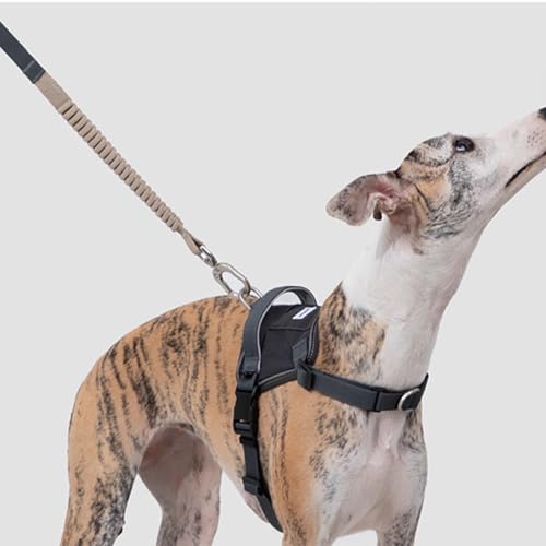 Verstellbares Hundegeschirr, No-Pull-Frontclip, Hundegeschirr Mit 2 Leinenverbindungspunkten, Gepolstert, Reflektierendes All-In-One-Hundegeschirr Für Einfaches Spazierengehen Und Training,Grau,L Verstellbares Hundegeschirr, No-Pull-Frontclip, Hundegeschirr Mit 2 Leinenverbindungspunkten, Gepolstert, Reflektierendes All-In-One-Hundegeschirr Für Einfaches Spazierengehen Und Training,Grau,L von YPDOPORA