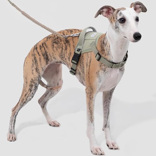 Verstellbares Hundegeschirr, No-Pull-Frontclip, Hundegeschirr Mit 2 Leinenverbindungspunkten, Gepolstert, Reflektierendes All-In-One-Hundegeschirr Für Einfaches Spazierengehen Und Training,Grün,L Verstellbares Hundegeschirr, No-Pull-Frontclip, Hundegeschirr Mit 2 Leinenverbindungspunkten, Gepolstert, Reflektierendes All-In-One-Hundegeschirr Für Einfaches Spazierengehen Und Training,Grün,L von YPDOPORA