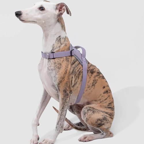 Verstellbares Hundegeschirr, No-Pull-Frontclip, Hundegeschirr Mit 2 Leinenverbindungspunkten, Gepolstert, Reflektierendes All-In-One-Hundegeschirr Für Einfaches Spazierengehen Und Training,Lila,L Verstellbares Hundegeschirr, No-Pull-Frontclip, Hundegeschirr Mit 2 Leinenverbindungspunkten, Gepolstert, Reflektierendes All-In-One-Hundegeschirr Für Einfaches Spazierengehen Und Training,Lila,L von YPDOPORA