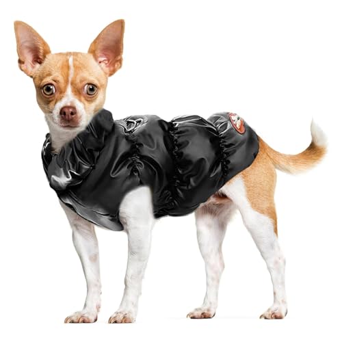 Warme Winter-Hundejacke Für Kleine Und Mittelgroße Hunde, Katzen, Mäntel Für Kaltes Wetter Mit Geschirr, Gepolsterte Hunde-Fleeceweste, wasserdichte, Winddichte Hunde-Schneejacke,B,XXL Warme Winter-Hundejacke Für Kleine Und Mittelgroße Hunde, Katzen, Mäntel Für Kaltes Wetter Mit Geschirr, Gepolsterte Hunde-Fleeceweste, wasserdichte, Winddichte Hunde-Schneejacke,B,XXL von YPDOPORA