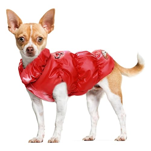 Warme Winter-Hundejacke Für Kleine Und Mittelgroße Hunde, Katzen, Mäntel Für Kaltes Wetter Mit Geschirr, Gepolsterte Hunde-Fleeceweste, wasserdichte, Winddichte Hunde-Schneejacke,G,M Warme Winter-Hundejacke Für Kleine Und Mittelgroße Hunde, Katzen, Mäntel Für Kaltes Wetter Mit Geschirr, Gepolsterte Hunde-Fleeceweste, wasserdichte, Winddichte Hunde-Schneejacke,G,M von YPDOPORA