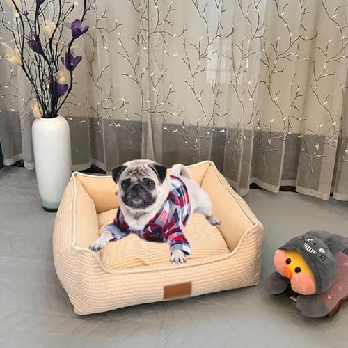 YPDOPORA Abnehmbares Und Waschbares Katzenbettchen, Haustiermatratzen, Hauszubehör, Quadratisches Katzenbett Aus Atmungsaktiver Baumwolle, Geeignet Für Den Innenbereich,Beige,S YPDOPORA Abnehmbares Und Waschbares Katzenbettchen, Haustiermatratzen, Hauszubehör, Quadratisches Katzenbett Aus Atmungsaktiver Baumwolle, Geeignet Für Den Innenbereich,Beige,S von YPDOPORA