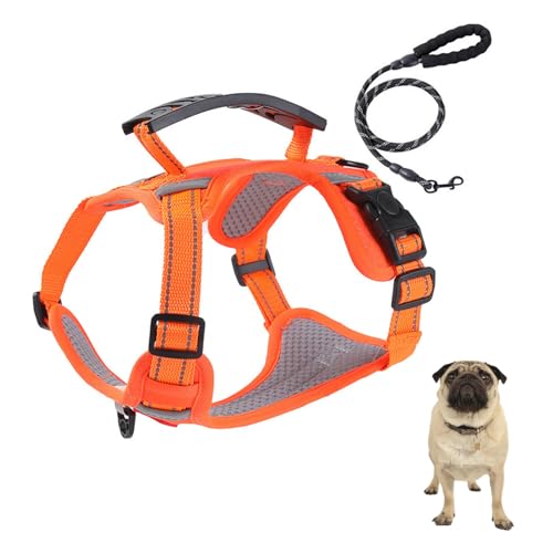 YPDOPORA Anti-Zug-Hundegeschirr Mit 1,52 M Hundeleinen-Set, Reflektierende, Verstellbare, Bequeme Haustier-Brust, Verstellbare, Weich Gepolsterte Haustierweste Für Hunde Und Katzen,Orange,XS YPDOPORA Anti-Zug-Hundegeschirr Mit 1,52 M Hundeleinen-Set, Reflektierende, Verstellbare, Bequeme Haustier-Brust, Verstellbare, Weich Gepolsterte Haustierweste Für Hunde Und Katzen,Orange,XS von YPDOPORA