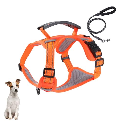 YPDOPORA Anti-Zug-Hundegeschirr Mit 1,52 M Langer Hundeleine, Reflektierende Hundeweste Mit Leicht Zu Kontrollierendem Griff, Verstellbare Haustierweste Für Große Hunde Und Katzen,Orange,XL YPDOPORA Anti-Zug-Hundegeschirr Mit 1,52 M Langer Hundeleine, Reflektierende Hundeweste Mit Leicht Zu Kontrollierendem Griff, Verstellbare Haustierweste Für Große Hunde Und Katzen,Orange,XL von YPDOPORA