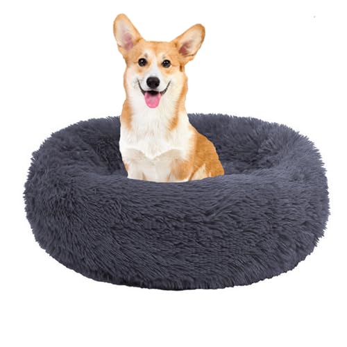 YPDOPORA Beruhigendes Hundebett Für Kleine Hunde – Anti-Angst-Donut-Kuscheltier, Wärmendes, Gemütliches, Weiches, Rundes Bett, Waschbares, Rutschfestes, Rundes, Flauschiges Plüsch-Katzenbett,A,L YPDOPORA Beruhigendes Hundebett Für Kleine Hunde – Anti-Angst-Donut-Kuscheltier, Wärmendes, Gemütliches, Weiches, Rundes Bett, Waschbares, Rutschfestes, Rundes, Flauschiges Plüsch-Katzenbett,A,L von YPDOPORA