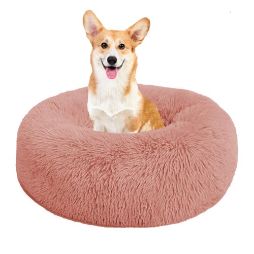 YPDOPORA Beruhigendes Hundebett Für Kleine Hunde – Anti-Angst-Donut-Kuscheltier, Wärmendes, Gemütliches, Weiches, Rundes Bett, Waschbares, Rutschfestes, Rundes, Flauschiges Plüsch-Katzenbett,B,5XL YPDOPORA Beruhigendes Hundebett Für Kleine Hunde – Anti-Angst-Donut-Kuscheltier, Wärmendes, Gemütliches, Weiches, Rundes Bett, Waschbares, Rutschfestes, Rundes, Flauschiges Plüsch-Katzenbett,B,5XL von YPDOPORA