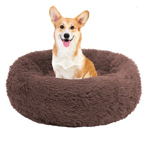 YPDOPORA Beruhigendes Hundebett Für Kleine Hunde – Anti-Angst-Donut-Kuscheltier, Wärmendes, Gemütliches, Weiches, Rundes Bett, Waschbares, Rutschfestes, Rundes, Flauschiges Plüsch-Katzenbett,C,S YPDOPORA Beruhigendes Hundebett Für Kleine Hunde – Anti-Angst-Donut-Kuscheltier, Wärmendes, Gemütliches, Weiches, Rundes Bett, Waschbares, Rutschfestes, Rundes, Flauschiges Plüsch-Katzenbett,C,S von YPDOPORA