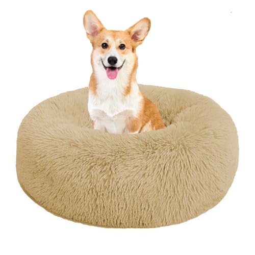 YPDOPORA Beruhigendes Hundebett Für Kleine Hunde – Anti-Angst-Donut-Kuscheltier, Wärmendes, Gemütliches, Weiches, Rundes Bett, Waschbares, Rutschfestes, Rundes, Flauschiges Plüsch-Katzenbett,E,4XL YPDOPORA Beruhigendes Hundebett Für Kleine Hunde – Anti-Angst-Donut-Kuscheltier, Wärmendes, Gemütliches, Weiches, Rundes Bett, Waschbares, Rutschfestes, Rundes, Flauschiges Plüsch-Katzenbett,E,4XL von YPDOPORA