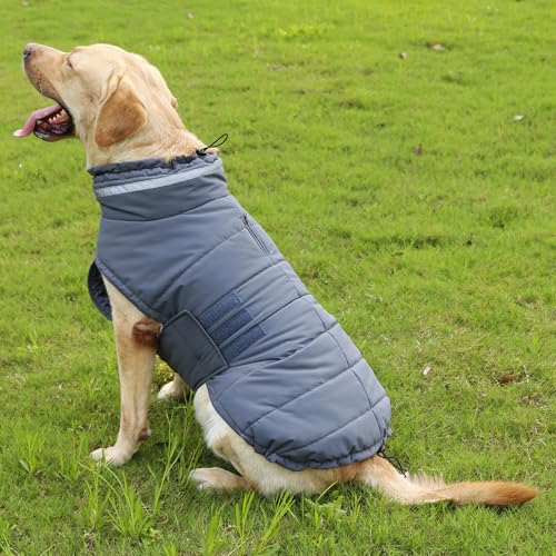 YPDOPORA Dicke, Warme, Reflektierende Hundejacke, wasserdichte Hundejacken Für Kleine Hunde, Kuschelige Rollkragenjacke Für Haustiere, Mittelgroß, Verstellbare Haustiermäntel Mit Haken,Grau,S von YPDOPORA