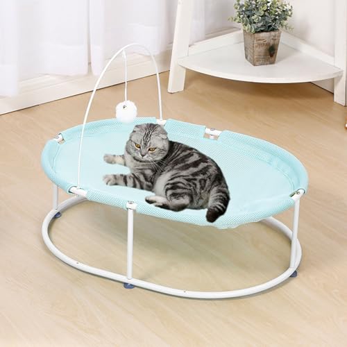 YPDOPORA Erhöhtes Katzenbett Für Hauskatzen, Atmungsaktives, Waschbares Katzenhängematten-Haustierzubehör, Freistehendes, Stabiles, Abnehmbares Haustierbett Mit Baumelndem Ball,Grün YPDOPORA Erhöhtes Katzenbett Für Hauskatzen, Atmungsaktives, Waschbares Katzenhängematten-Haustierzubehör, Freistehendes, Stabiles, Abnehmbares Haustierbett Mit Baumelndem Ball,Grün von YPDOPORA