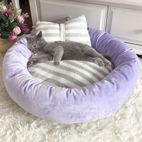 YPDOPORA Hundebett, Supergemütliches, Weiches Haustierhaus, Warmes, Bequemes Katzenbett, Modisches Haustierkissenbett, Winterplüschnest, Zwinger, Schöne, Herbe Hundematte Für Den Innenbereich,Lila,M YPDOPORA Hundebett, Supergemütliches, Weiches Haustierhaus, Warmes, Bequemes Katzenbett, Modisches Haustierkissenbett, Winterplüschnest, Zwinger, Schöne, Herbe Hundematte Für Den Innenbereich,Lila,M von YPDOPORA