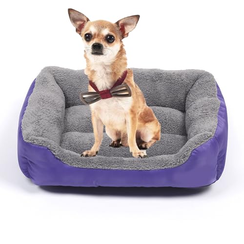 YPDOPORA Hundebett Für Mittelgroße Kleine Hunde, Rechteckig. Weiches Und Bequemes Haustierbett, Orthopädisches Hundebett Mit Rutschfester, Wasserdichter Unterseite,C,XXL YPDOPORA Hundebett Für Mittelgroße Kleine Hunde, Rechteckig. Weiches Und Bequemes Haustierbett, Orthopädisches Hundebett Mit Rutschfester, Wasserdichter Unterseite,C,XXL von YPDOPORA