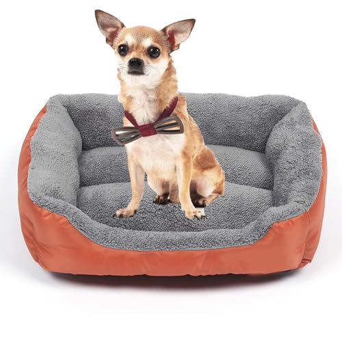 YPDOPORA Hundebett Für Mittelgroße Kleine Hunde, Rechteckig. Weiches Und Bequemes Haustierbett, Orthopädisches Hundebett Mit Rutschfester, Wasserdichter Unterseite,H,M YPDOPORA Hundebett Für Mittelgroße Kleine Hunde, Rechteckig. Weiches Und Bequemes Haustierbett, Orthopädisches Hundebett Mit Rutschfester, Wasserdichter Unterseite,H,M von YPDOPORA