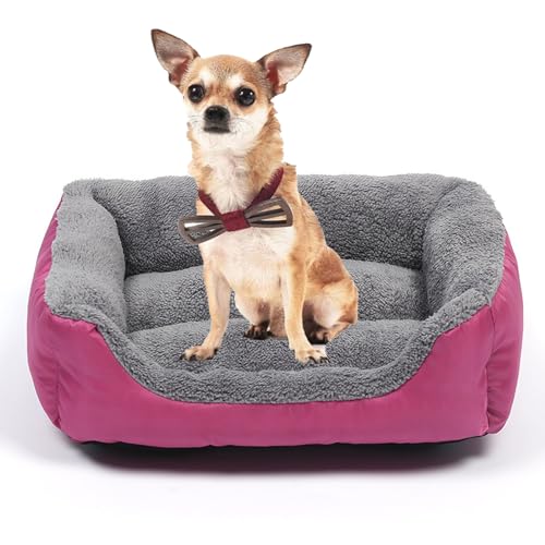 YPDOPORA Hundebett Für Mittelgroße Kleine Hunde, Rechteckig. Weiches Und Bequemes Haustierbett, Orthopädisches Hundebett Mit Rutschfester, Wasserdichter Unterseite,J,XL YPDOPORA Hundebett Für Mittelgroße Kleine Hunde, Rechteckig. Weiches Und Bequemes Haustierbett, Orthopädisches Hundebett Mit Rutschfester, Wasserdichter Unterseite,J,XL von YPDOPORA