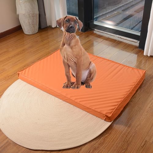 YPDOPORA Hundebetten Aus Leder Für Mittelgroße Hunde, Wasserabweisendes Orthopädisches Hundebett, Orthopädisches Hundebett Aus Memory-Schaum Mit Waschbarem Bezug Und Rutschfester Unterseite,Orange,L von YPDOPORA