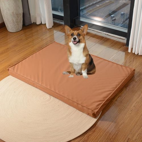 YPDOPORA Hundebetten Aus Leder Für Mittelgroße Hunde, Wasserabweisendes Orthopädisches Hundebett, Orthopädisches Hundebett Aus Memory-Schaum Mit Waschbarem Bezug Und Rutschfester Unterseite,Beige,S von YPDOPORA