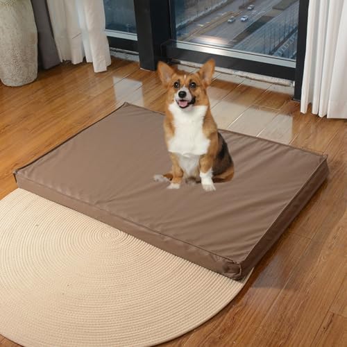 YPDOPORA Hundebetten Aus Leder Für Mittelgroße Hunde, Wasserabweisendes Orthopädisches Hundebett, Orthopädisches Hundebett Aus Memory-Schaum Mit Waschbarem Bezug Und Rutschfester Unterseite,Braun,M von YPDOPORA