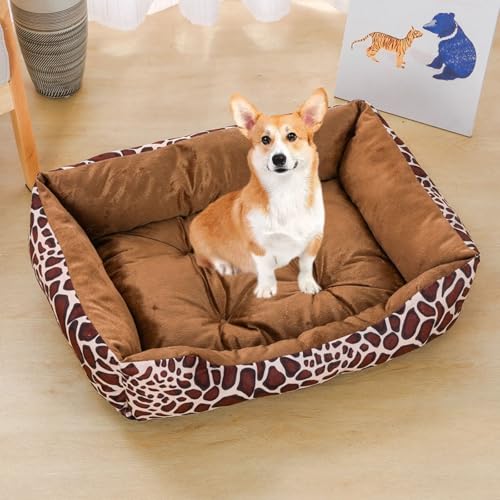 YPDOPORA Hundebetten Für Kleine Hunde, Rechteckige Katzenbetten Für Hauskatzen, Waschbares Haustierbett Mit Seiten- Und Anti-Rutsch-Unterseite Für Mittelgroße Und Kleine Hunde, Kätzchen,Beige,XS YPDOPORA Hundebetten Für Kleine Hunde, Rechteckige Katzenbetten Für Hauskatzen, Waschbares Haustierbett Mit Seiten- Und Anti-Rutsch-Unterseite Für Mittelgroße Und Kleine Hunde, Kätzchen,Beige,XS von YPDOPORA