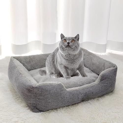 YPDOPORA Hundebetten Für Kleine Und Mittelgroße Hunde, Rechteckig, Waschbar, Bequemes Und Atmungsaktives Haustiersofa, Orthopädisches Hundebett Mit Rutschfester Unterseite,Grau,XL YPDOPORA Hundebetten Für Kleine Und Mittelgroße Hunde, Rechteckig, Waschbar, Bequemes Und Atmungsaktives Haustiersofa, Orthopädisches Hundebett Mit Rutschfester Unterseite,Grau,XL von YPDOPORA