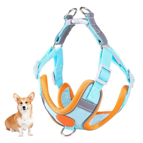 YPDOPORA Hundegeschirr, Kein Ziehen, Verstellbarer Brustgurt, Kein Ziehen, Warmes Und Weiches Wildledergewebe, Reflektierende Streifen, Atmungsaktives Sportgeschirr Für Das Training,Blau,3XS YPDOPORA Hundegeschirr, Kein Ziehen, Verstellbarer Brustgurt, Kein Ziehen, Warmes Und Weiches Wildledergewebe, Reflektierende Streifen, Atmungsaktives Sportgeschirr Für Das Training,Blau,3XS von YPDOPORA