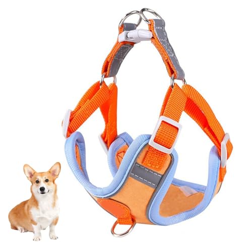 YPDOPORA Hundegeschirr, Kein Ziehen, Verstellbarer Brustgurt, Kein Ziehen, Warmes Und Weiches Wildledergewebe, Reflektierende Streifen, Atmungsaktives Sportgeschirr Für Das Training,Orange,3XS YPDOPORA Hundegeschirr, Kein Ziehen, Verstellbarer Brustgurt, Kein Ziehen, Warmes Und Weiches Wildledergewebe, Reflektierende Streifen, Atmungsaktives Sportgeschirr Für Das Training,Orange,3XS von YPDOPORA