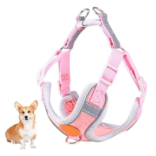 YPDOPORA Hundegeschirr, Kein Ziehen, Verstellbarer Brustgurt, Kein Ziehen, Warmes Und Weiches Wildledergewebe, Reflektierende Streifen, Atmungsaktives Sportgeschirr Für Das Training,Rosa,3XS YPDOPORA Hundegeschirr, Kein Ziehen, Verstellbarer Brustgurt, Kein Ziehen, Warmes Und Weiches Wildledergewebe, Reflektierende Streifen, Atmungsaktives Sportgeschirr Für Das Training,Rosa,3XS von YPDOPORA