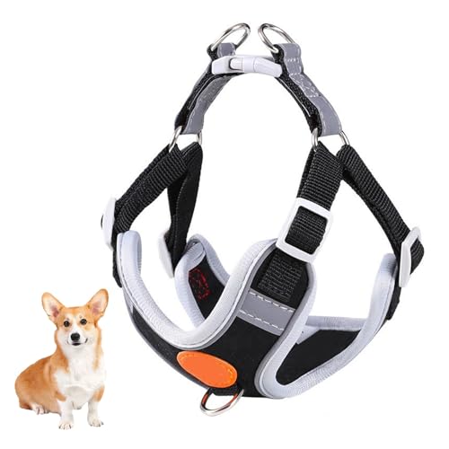 YPDOPORA Hundegeschirr, Kein Ziehen, Verstellbarer Brustgurt, Kein Ziehen, Warmes Und Weiches Wildledergewebe, Reflektierende Streifen, Atmungsaktives Sportgeschirr Für Das Training,Schwarz,3XS YPDOPORA Hundegeschirr, Kein Ziehen, Verstellbarer Brustgurt, Kein Ziehen, Warmes Und Weiches Wildledergewebe, Reflektierende Streifen, Atmungsaktives Sportgeschirr Für Das Training,Schwarz,3XS von YPDOPORA