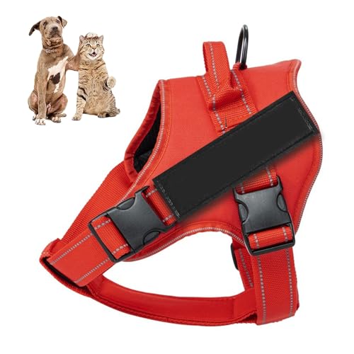 YPDOPORA Hundegeschirr, Kein Ziehen Mit 2 Leinenclips Und Patches, Verstellbar, Weich Gepolstert, Reflektierend, Kein Würgen Mit Leicht Zu Kontrollierendem Griff Für Hunde,A,XS YPDOPORA Hundegeschirr, Kein Ziehen Mit 2 Leinenclips Und Patches, Verstellbar, Weich Gepolstert, Reflektierend, Kein Würgen Mit Leicht Zu Kontrollierendem Griff Für Hunde,A,XS von YPDOPORA