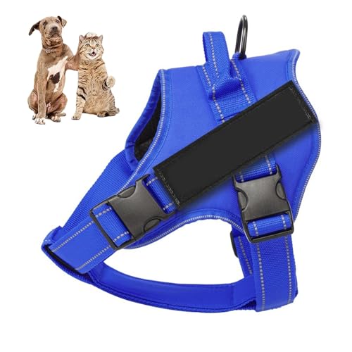 YPDOPORA Hundegeschirr, Kein Ziehen Mit 2 Leinenclips Und Patches, Verstellbar, Weich Gepolstert, Reflektierend, Kein Würgen Mit Leicht Zu Kontrollierendem Griff Für Hunde,C,L YPDOPORA Hundegeschirr, Kein Ziehen Mit 2 Leinenclips Und Patches, Verstellbar, Weich Gepolstert, Reflektierend, Kein Würgen Mit Leicht Zu Kontrollierendem Griff Für Hunde,C,L von YPDOPORA