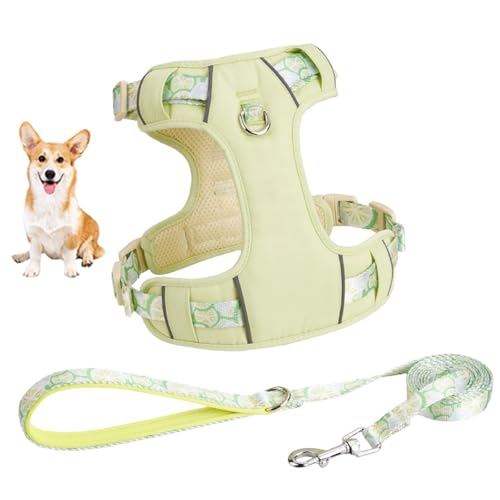 YPDOPORA Hundegeschirr Für Kleine Hunde, No Pull Hundegeschirr Mit 2 Leinenclips, Easy Walk Hundegeschirr Kleiner Hund, Welpengeschirr, Verstellbares Hundewestengeschirr,Grün,S YPDOPORA Hundegeschirr Für Kleine Hunde, No Pull Hundegeschirr Mit 2 Leinenclips, Easy Walk Hundegeschirr Kleiner Hund, Welpengeschirr, Verstellbares Hundewestengeschirr,Grün,S von YPDOPORA