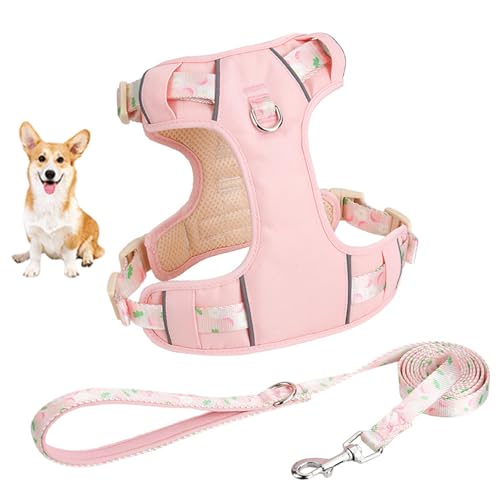 YPDOPORA Hundegeschirr Für Kleine Hunde, No Pull Hundegeschirr Mit 2 Leinenclips, Easy Walk Hundegeschirr Kleiner Hund, Welpengeschirr, Verstellbares Hundewestengeschirr,Rosa,L YPDOPORA Hundegeschirr Für Kleine Hunde, No Pull Hundegeschirr Mit 2 Leinenclips, Easy Walk Hundegeschirr Kleiner Hund, Welpengeschirr, Verstellbares Hundewestengeschirr,Rosa,L von YPDOPORA