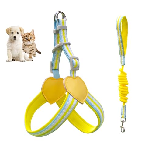 YPDOPORA Hundegeschirr Für Kleine Hunde, No-Pull-Hundegeschirr Mit 2 Leinenclips, Verstellbares Hundewestengeschirr, Easy Walk-Hundegeschirr Für Kleine Hunde, Welpengeschirr Für Kleine Hunde,Gelb,M YPDOPORA Hundegeschirr Für Kleine Hunde, No-Pull-Hundegeschirr Mit 2 Leinenclips, Verstellbares Hundewestengeschirr, Easy Walk-Hundegeschirr Für Kleine Hunde, Welpengeschirr Für Kleine Hunde,Gelb,M von YPDOPORA