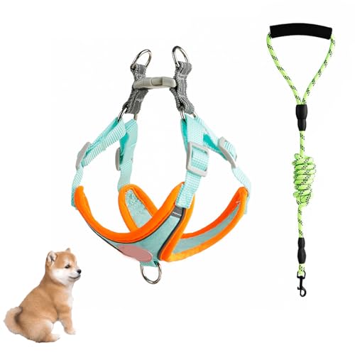 YPDOPORA Hundegeschirr Ohne Ziehen, Verstellbares Welpengeschirr Mit 2 Leinenclips, Ultrakomfortables Gepolstertes Hundewestengeschirr, Reflektierendes Hundegeschirr Für Hunde,Grün,S YPDOPORA Hundegeschirr Ohne Ziehen, Verstellbares Welpengeschirr Mit 2 Leinenclips, Ultrakomfortables Gepolstertes Hundewestengeschirr, Reflektierendes Hundegeschirr Für Hunde,Grün,S von YPDOPORA