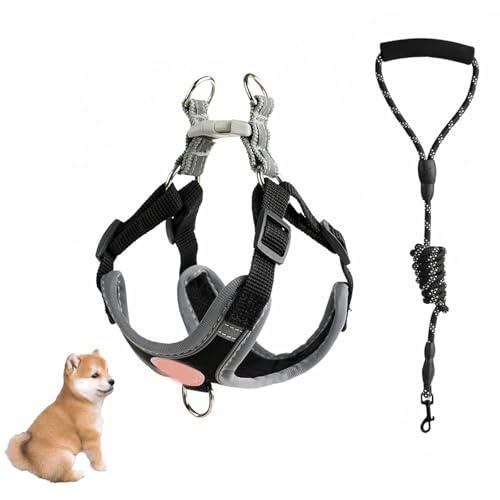 YPDOPORA Hundegeschirr Ohne Ziehen, Verstellbares Welpengeschirr Mit 2 Leinenclips, Ultrakomfortables Gepolstertes Hundewestengeschirr, Reflektierendes Hundegeschirr Für Hunde,Schwarz,L YPDOPORA Hundegeschirr Ohne Ziehen, Verstellbares Welpengeschirr Mit 2 Leinenclips, Ultrakomfortables Gepolstertes Hundewestengeschirr, Reflektierendes Hundegeschirr Für Hunde,Schwarz,L von YPDOPORA
