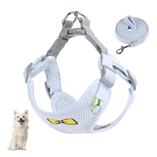 YPDOPORA Hundegeschirr Und Leine Set, Welpenweste, Weiche Reflektorstreifen, Katzenhalfter, Einfaches Gehen, Verstellbar Für Kleine, Mittelgroße Hunde, Katzen, Kätzchen, Welpen, Tiere,Blau,XL YPDOPORA Hundegeschirr Und Leine Set, Welpenweste, Weiche Reflektorstreifen, Katzenhalfter, Einfaches Gehen, Verstellbar Für Kleine, Mittelgroße Hunde, Katzen, Kätzchen, Welpen, Tiere,Blau,XL von YPDOPORA
