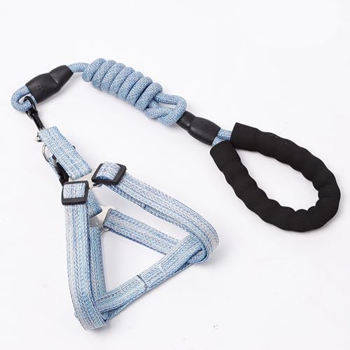 YPDOPORA Hundegeschirr- Und Leinen-Set, Verstellbar, Strapazierfähig, Kein Ziehen, Halftergeschirr Mit Rückenclip Für Welpen Und Haustiere, Verdrehsichere Laufleinen Aus Nylon Für Hunde,Blau,S YPDOPORA Hundegeschirr- Und Leinen-Set, Verstellbar, Strapazierfähig, Kein Ziehen, Halftergeschirr Mit Rückenclip Für Welpen Und Haustiere, Verdrehsichere Laufleinen Aus Nylon Für Hunde,Blau,S von YPDOPORA