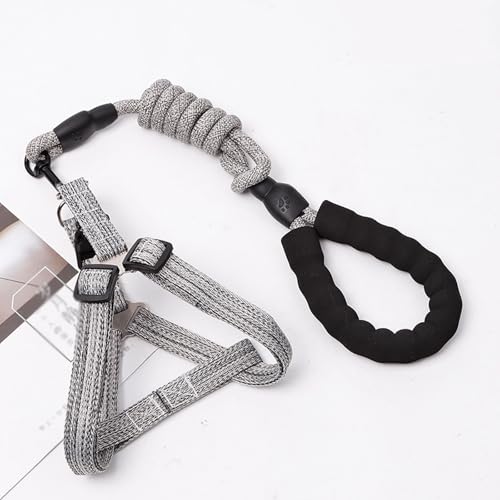 YPDOPORA Hundegeschirr- Und Leinen-Set, Verstellbar, Strapazierfähig, Kein Ziehen, Halftergeschirr Mit Rückenclip Für Welpen Und Haustiere, Verdrehsichere Laufleinen Aus Nylon Für Hunde,Grau,L YPDOPORA Hundegeschirr- Und Leinen-Set, Verstellbar, Strapazierfähig, Kein Ziehen, Halftergeschirr Mit Rückenclip Für Welpen Und Haustiere, Verdrehsichere Laufleinen Aus Nylon Für Hunde,Grau,L von YPDOPORA