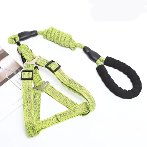 YPDOPORA Hundegeschirr- Und Leinen-Set, Verstellbar, Strapazierfähig, Kein Ziehen, Halftergeschirr Mit Rückenclip Für Welpen Und Haustiere, Verdrehsichere Laufleinen Aus Nylon Für Hunde,Grün,XL YPDOPORA Hundegeschirr- Und Leinen-Set, Verstellbar, Strapazierfähig, Kein Ziehen, Halftergeschirr Mit Rückenclip Für Welpen Und Haustiere, Verdrehsichere Laufleinen Aus Nylon Für Hunde,Grün,XL von YPDOPORA