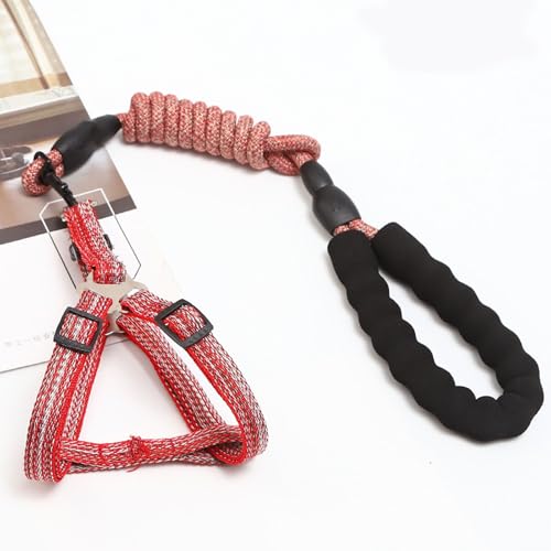 YPDOPORA Hundegeschirr- Und Leinen-Set, Verstellbar, Strapazierfähig, Kein Ziehen, Halftergeschirr Mit Rückenclip Für Welpen Und Haustiere, Verdrehsichere Laufleinen Aus Nylon Für Hunde,Rot,XL YPDOPORA Hundegeschirr- Und Leinen-Set, Verstellbar, Strapazierfähig, Kein Ziehen, Halftergeschirr Mit Rückenclip Für Welpen Und Haustiere, Verdrehsichere Laufleinen Aus Nylon Für Hunde,Rot,XL von YPDOPORA