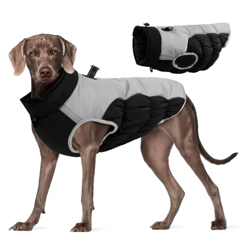 YPDOPORA Hundejacke, Wintermantel Mit Seil, Hundeleine-Set, Reflektierende Weste Für Hunde, Kaltes Wetter, Schneemäntel, Warme Kleidung, Jacken Mit Reißverschluss,A,6XL von YPDOPORA