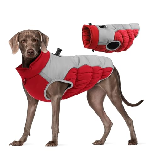 YPDOPORA Hundejacke, Wintermantel Mit Seil, Hundeleine-Set, Reflektierende Weste Für Hunde, Kaltes Wetter, Schneemäntel, Warme Kleidung, Jacken Mit Reißverschluss,B,5XL von YPDOPORA