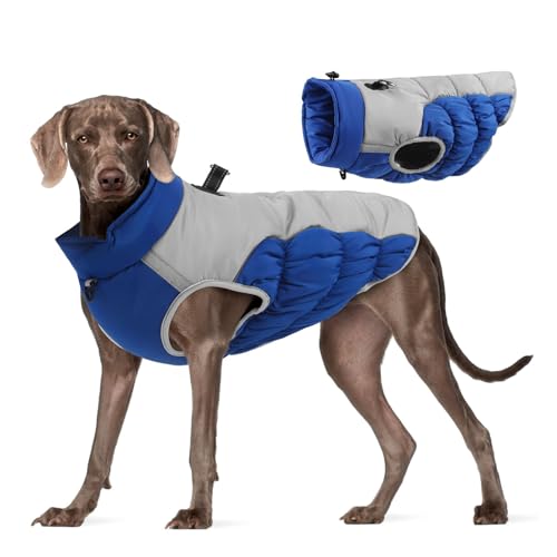 YPDOPORA Hundejacke, Wintermantel Mit Seil, Hundeleine-Set, Reflektierende Weste Für Hunde, Kaltes Wetter, Schneemäntel, Warme Kleidung, Jacken Mit Reißverschluss,C,XXL von YPDOPORA