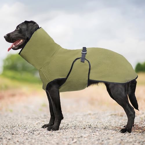 YPDOPORA Hundekleidung Für Den Winter, Warmer, Wattierter Mantel, Kuschelige Rollkragenjacke Für Hunde, Größe M, Bequemer, Weicher Haustiermantel Mit Verstellbarem Bauchgurt Für Spaziergänge,Grün,L YPDOPORA Hundekleidung Für Den Winter, Warmer, Wattierter Mantel, Kuschelige Rollkragenjacke Für Hunde, Größe M, Bequemer, Weicher Haustiermantel Mit Verstellbarem Bauchgurt Für Spaziergänge,Grün,L von YPDOPORA