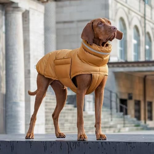 YPDOPORA Hundemäntel Für Große Hunde, Wasserdicht, Für Den Winter, Rollkragenjacke Für Haustiere, Reflektierende Rollkragenjacke Für Hunde, Warmer Mantel Für Hunde Bei Kaltem Wetter,Gelb,XL YPDOPORA Hundemäntel Für Große Hunde, Wasserdicht, Für Den Winter, Rollkragenjacke Für Haustiere, Reflektierende Rollkragenjacke Für Hunde, Warmer Mantel Für Hunde Bei Kaltem Wetter,Gelb,XL von YPDOPORA