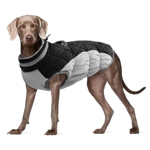 YPDOPORA Hundemäntel Für Mittelgroße Hunde, Mit Fleece Gefütterte Winterjacke Für Haustiere, Reflektierende Rollkragen-Wintermäntel Für Hunde Mit Integriertem Geschirr Für Hunde,Schwarz,XS von YPDOPORA