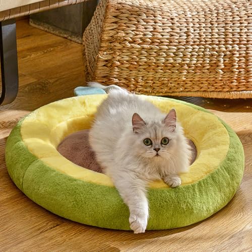 YPDOPORA Katzenbett, Süßes Warmes Katzenbett, Gemütliches Haustierkorbkissen, Rundes Kätzchenhaus Für Welpen, Schlafzeltmatte, Kleine Katzen, Waschbare Betten,Grün,S YPDOPORA Katzenbett, Süßes Warmes Katzenbett, Gemütliches Haustierkorbkissen, Rundes Kätzchenhaus Für Welpen, Schlafzeltmatte, Kleine Katzen, Waschbare Betten,Grün,S von YPDOPORA