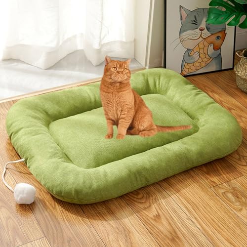 YPDOPORA Katzenbett Für Hauskatzen, Hundebett, rutschfeste Welpen-Isomatte, Kissen, Zwingerunterlage Für Kleine Und Mittelgroße Hunde, Hunde-Isomatte, Maschinenwaschbar,Grün,L YPDOPORA Katzenbett Für Hauskatzen, Hundebett, rutschfeste Welpen-Isomatte, Kissen, Zwingerunterlage Für Kleine Und Mittelgroße Hunde, Hunde-Isomatte, Maschinenwaschbar,Grün,L von YPDOPORA