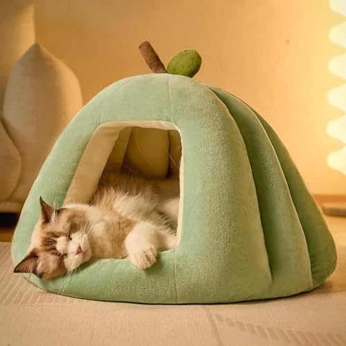 YPDOPORA Katzenbetten Für Hauskatzen, Katzenhöhlenbett, Katzenhaus, Katzenzelt Mit Abnehmbarem, Waschbarem Kissen, Weiche Kätzchenbetten, Katzenschlafbett, Katzennest, Welpenhaus,Grün,L YPDOPORA Katzenbetten Für Hauskatzen, Katzenhöhlenbett, Katzenhaus, Katzenzelt Mit Abnehmbarem, Waschbarem Kissen, Weiche Kätzchenbetten, Katzenschlafbett, Katzennest, Welpenhaus,Grün,L von YPDOPORA