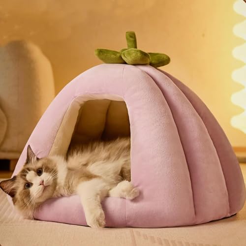 YPDOPORA Katzenbetten Für Hauskatzen, Katzenhöhlenbett, Katzenhaus, Katzenzelt Mit Abnehmbarem, Waschbarem Kissen, Weiche Kätzchenbetten, Katzenschlafbett, Katzennest, Welpenhaus,Lila,L von YPDOPORA